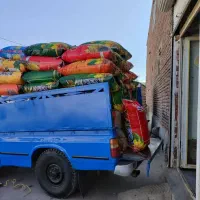 تخمه اس ۴۰۰