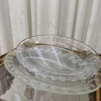 دیس غذا خوری
