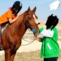 فروش اسب سوارکاری