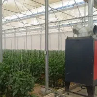 کارگر گلخانه تیران کرون|استخدام سرایداری و نظافت|نجف‌آباد, حومه نجف آباد|دیوار