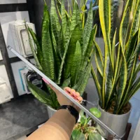 ipad pro 2020|تبلت|اصفهان, مفتح|دیوار