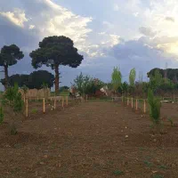 چند-قطعه-400متری-زمین-باغی