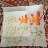 ظروف پذیرایی میوه خوری