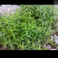 لطفاً راهنمایی کنید