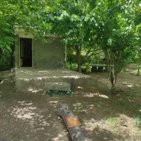 اجاره باغ ویلا