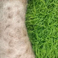 فروش توم هاشمی درجه یک عالی کیفیت بالا درجه یک