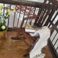 ماکت تراس پاییزی مناسب دکور|کلکسیون و سرگرمی|آستانه اشرفیه, |دیوار