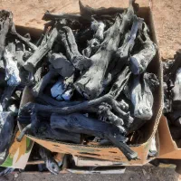 زغال|عمده‌فروشی|تاکستان, |دیوار