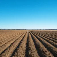 زمین-کشاورزی-سیصد-متر-حاجی-آباد