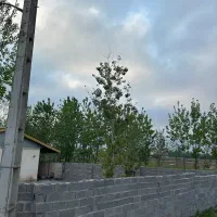 باغ ویلا