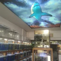 نیازمند همکار خانم در فروشگاه آکواریوم حیات وحش