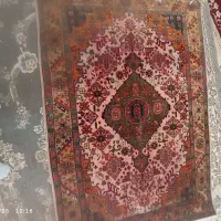 قالیچه دستباف|فرش|کازرون, |دیوار