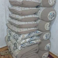 ریه بالشت و کناره