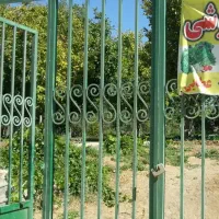 سبزی خورشتی خوراکی-کلم قمری|خوردنی و آشامیدنی|سنقر, |دیوار