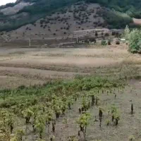 11000 متر زمین سند تکبرگ نزدیک بافت روستای پیرنعیم