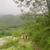 زمین-باغی-ملک-کلنگی