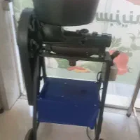 آبلیموگیری وابغوره گیر سبز ایران