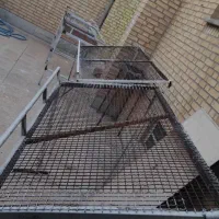 تخت میوه|فروشگاه و مغازه|بهبهان, |دیوار