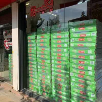 رادیاتور پانلی ۱۰۰سانتی لورچ