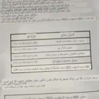 اتوموlizze حرفه ای|حراج|کرج, باغ سیب|دیوار