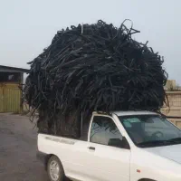خریدار نوار تیپ