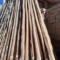 خریدار انوع چوب|خدمات باغبانی و درختکاری|بکتاش, |دیوار