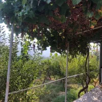 اجاره باغ ویلای لوکس ۲ خوابه در گلدشت|اجارهٔ کوتاه‌مدت ویلا و باغ|بروجرد, |دیوار