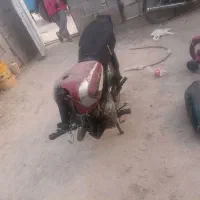 فروش فوری متور سیکلت|موتورسیکلت|سرفاریاب, |دیوار