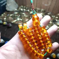 سندلوس نارنجی شیخک کوتوله 51گرم