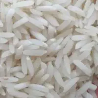 برنج هاشمی مستقیم از کشاورز