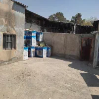 320متر سالن خیابان زیبادشت|اجارهٔ دفتر صنعتی، کشاورزی، تجاری|محمدشهر, شهرک چمران|دیوار