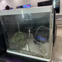 اکواریوم|ماهی|مرند, |دیوار