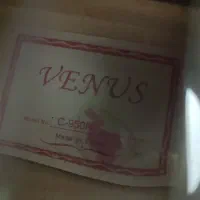 گیتار|گیتار، بیس، امپلیفایر|الیگودرز, |دیوار