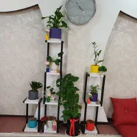 استند گل