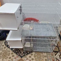 قفس 40×60 دوجداره  کف فلز  در حد با لونه بزرگ‌