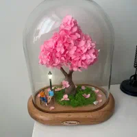 درختچه هورتانسیا