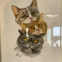 آموزش و سفارش تابلو در سایز و طرح و جنس مختلف|خدمات آموزشی|قائمشهر, |دیوار