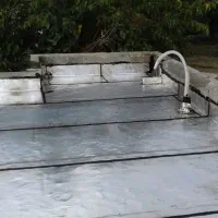 ایزوگام و غیرگونی