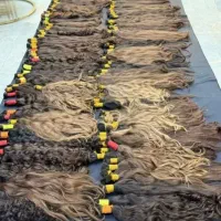 خریدار مو در خراسان رضوی