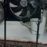 فن مارک دمنده