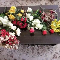 گل مصنوعی|گل مصنوعی|صدرا-فارس, فاز ۱|دیوار