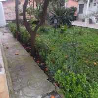 ویلایی تجاری