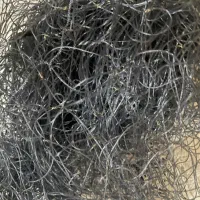 تور شیر