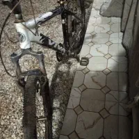 دوچرخه ویوا 26|دوچرخه، اسکیت، اسکوتر|کارون, |دیوار