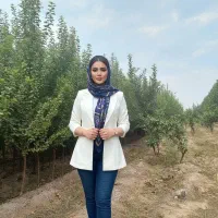 فروش نهال آلو کالیفرنیا با فاکتور رسمی