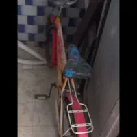 دوچرخه سالم|دوچرخه، اسکیت، اسکوتر|نیشابور, ۲۲ بهمن|دیوار