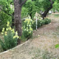 ۱۲۰۰متر باغویلا ۱۵۰ متر بنای قدیمی سند بکه شهریار|فروش خانه و ویلا|وحیدیه, |دیوار