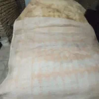 دو عدد گلیم زیر انداز