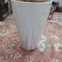 گلدان