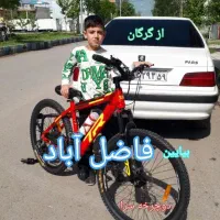 دوچرخه در جدیدترین مدل ۲۰/۲۶/۲۷ ویوا